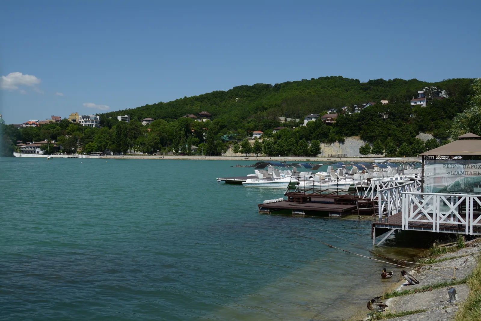 ADS_4440
