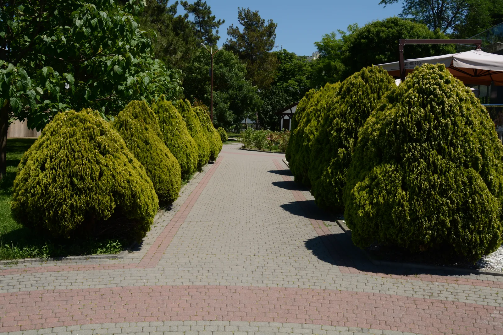 ADS_4436