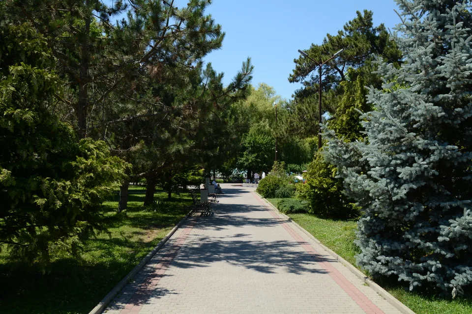 ADS_4423